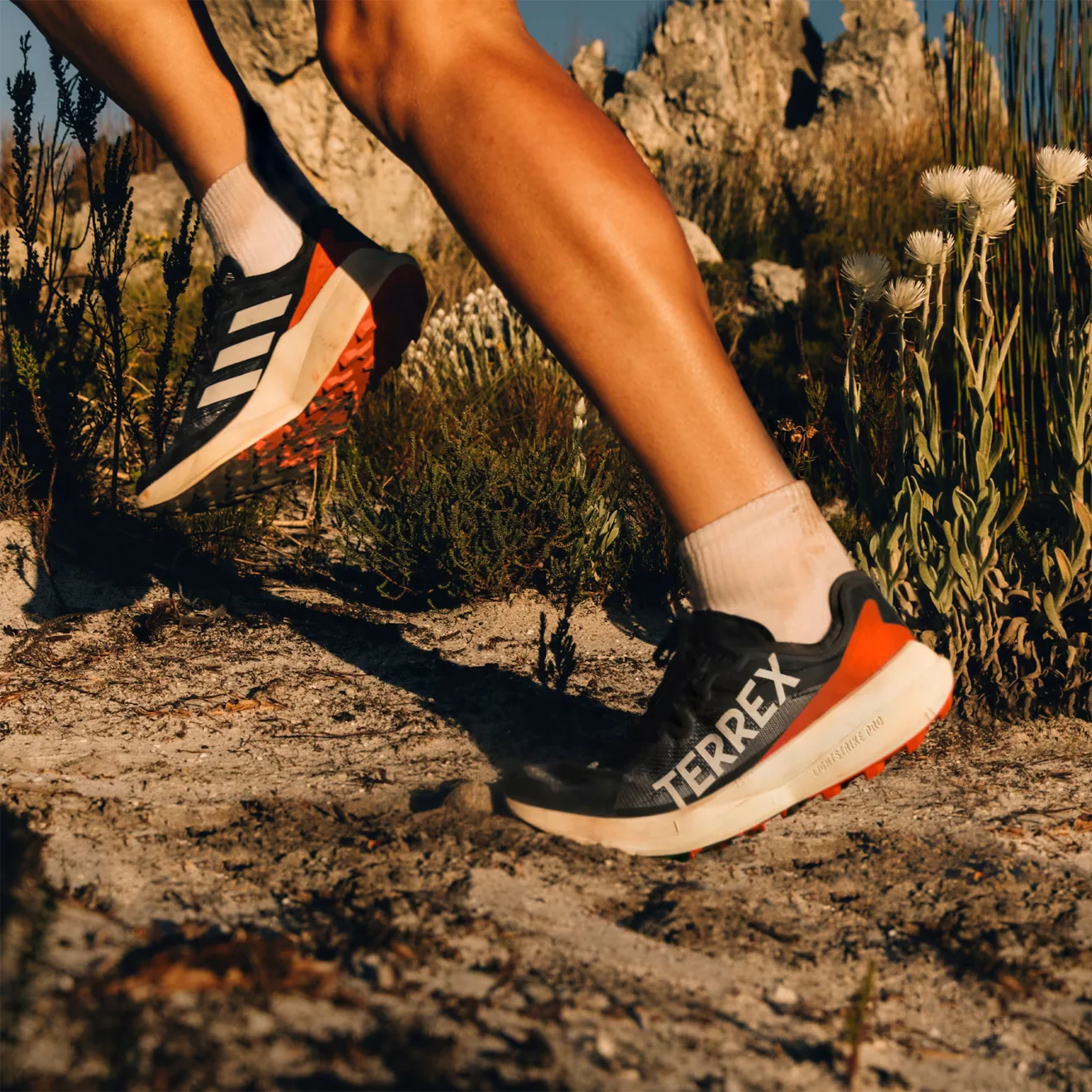 Adidas Terrex Agravic Speed Trail Running Shoe - Image 11