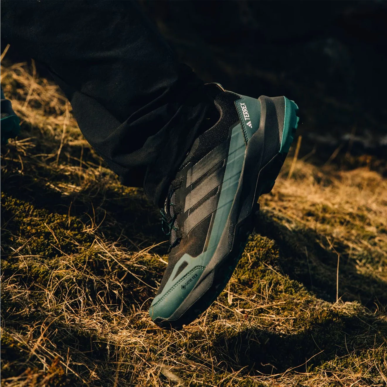 Adidas Terrex Skychaser AX5 GORE-TEX Hiking Shoes Core Black / Carbon / Pure Teal - Image 8