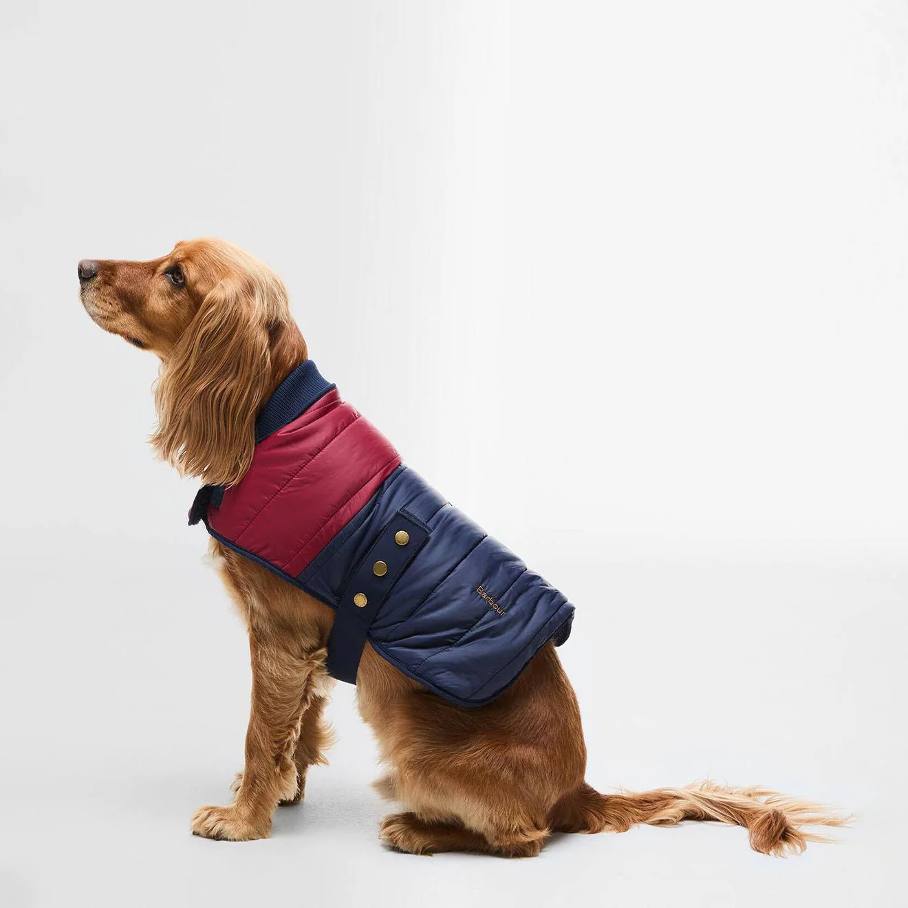 Barbour Brampton Quilted Dog Coat Red/Navy - Image 6