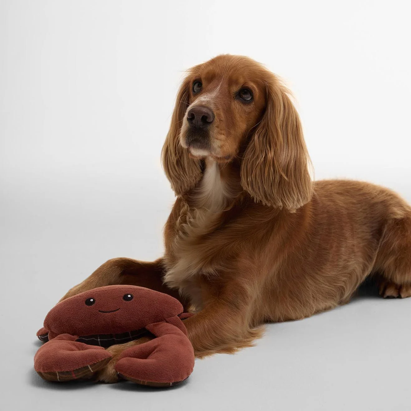 Barbour Crab Dog Toy - Image 5