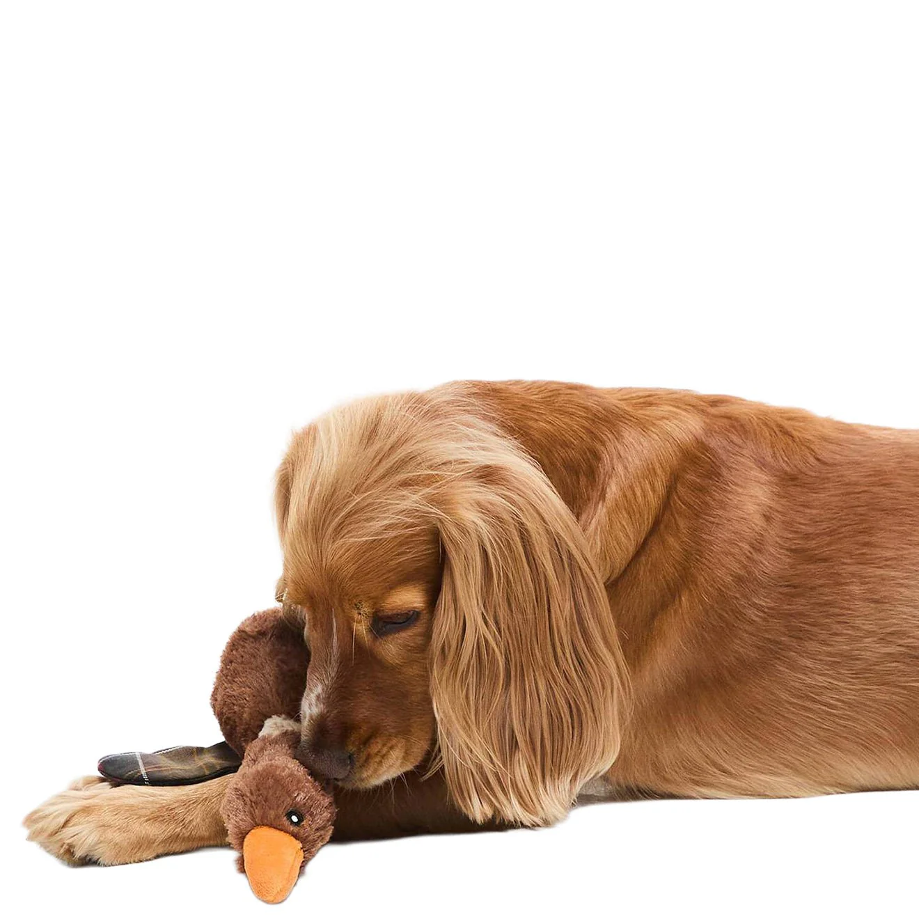 Barbour Dog Flying Duck Toy Brown - Image 4