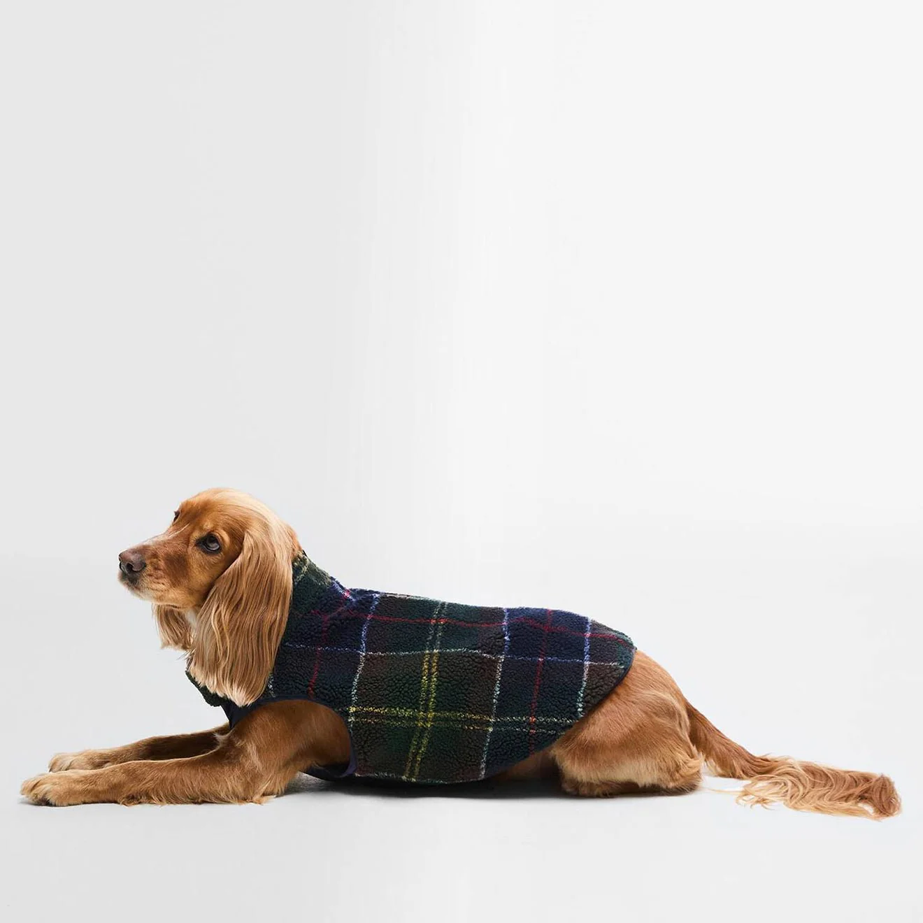 Barbour Field Reversible Dog Coat Classic/Navy - Image 5