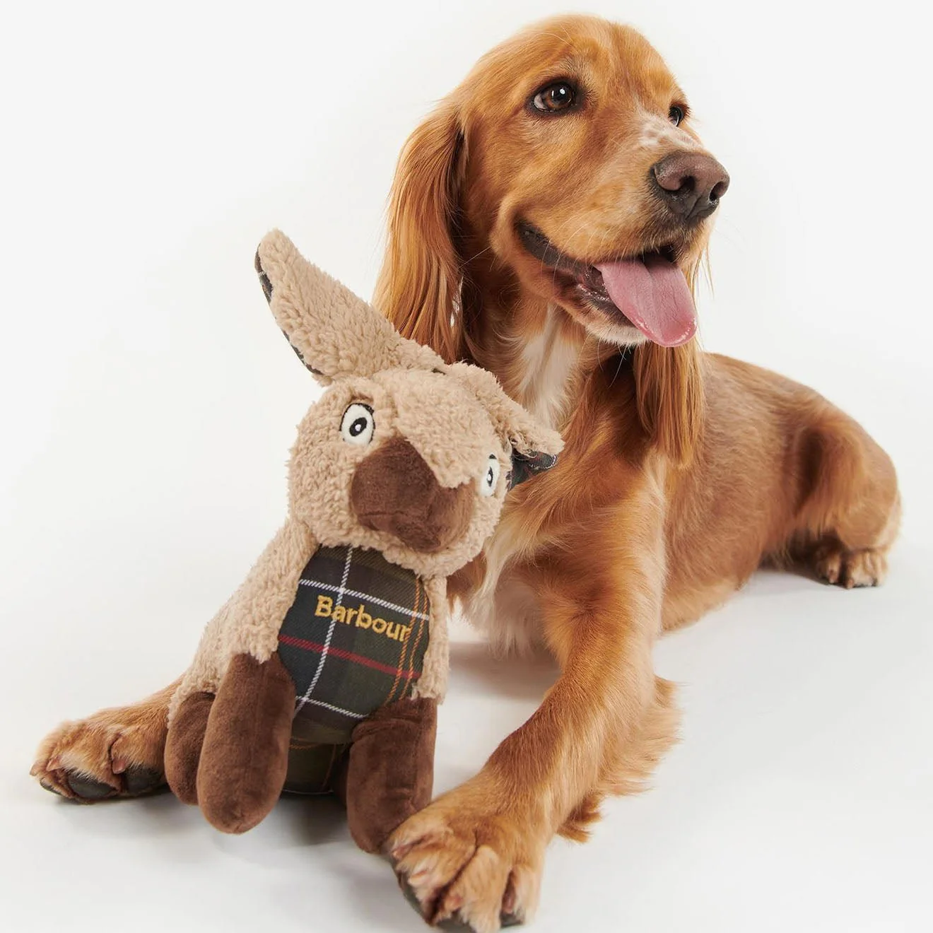 Barbour Rabbit Dog Toy - Image 2