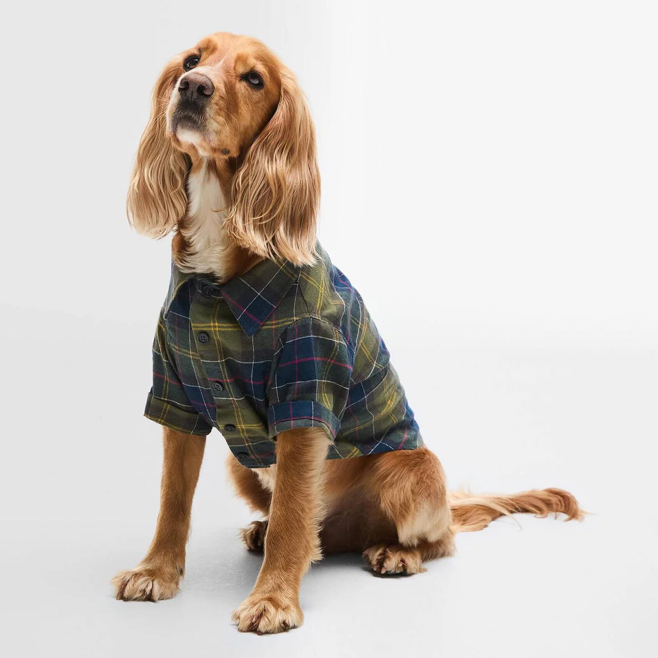 Barbour Tartan Fortrose Dog Shirt Classic Tartan - Image 6