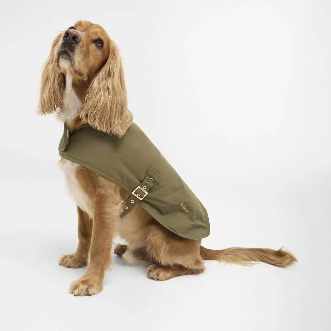 Barbour Transport Dog Coat Dusky Green - Image 3