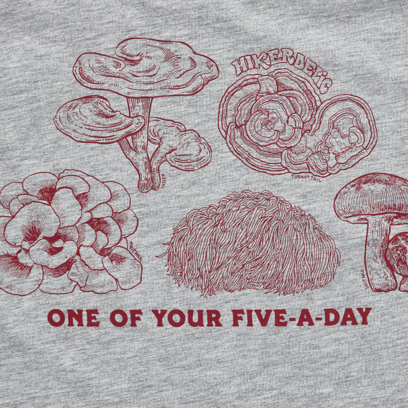 Hikerdelic 5 a Day SS T-Shirt Grey Marl - Image 3