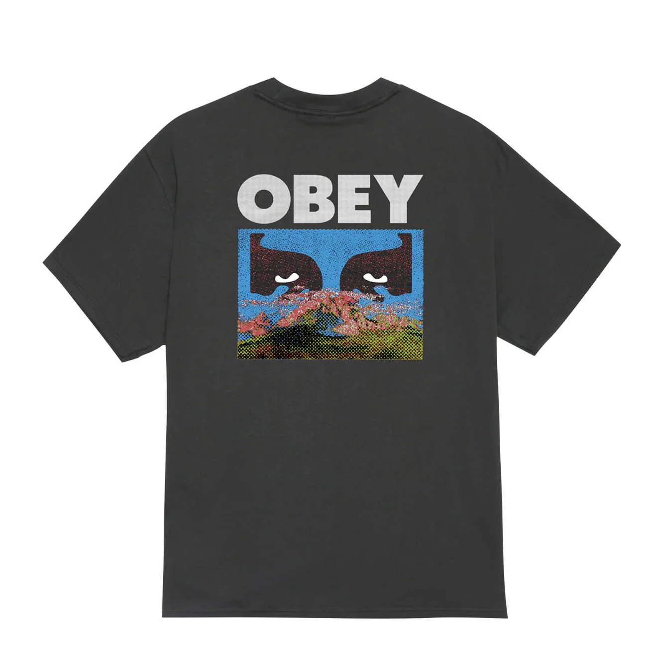 Obey In A Different Place S/S Tee Vintage Black - Image 2