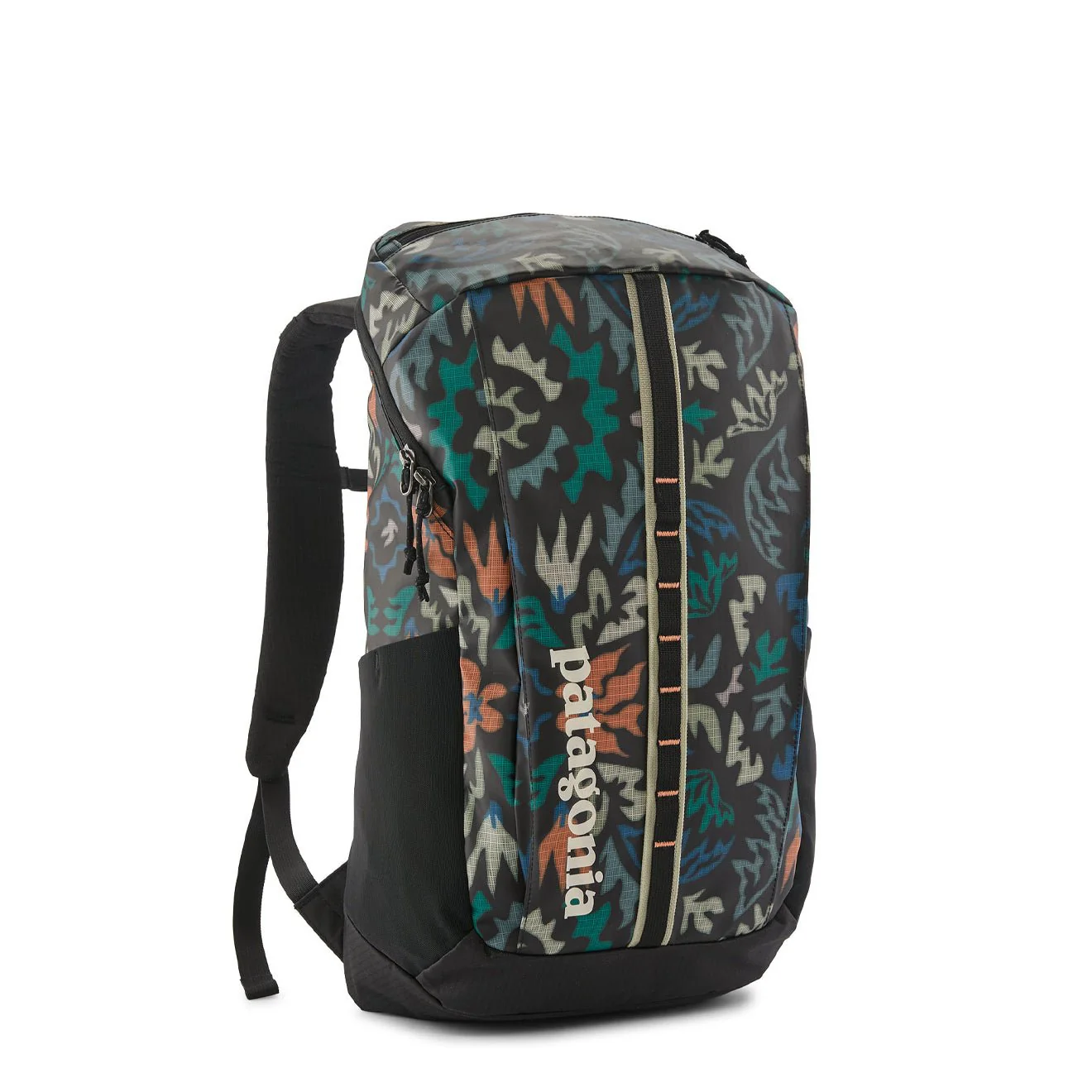 Patagonia Black Hole Pack 25L Kaleido Black