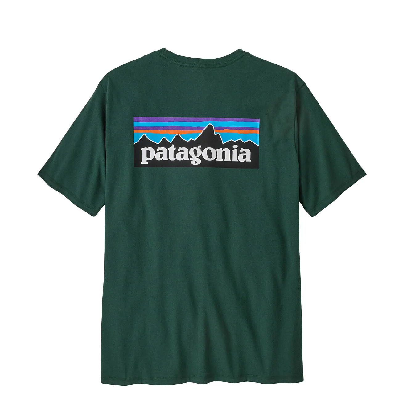 Patagonia P-6 Logo Responsibili-Tee Cascade Green - Image 2