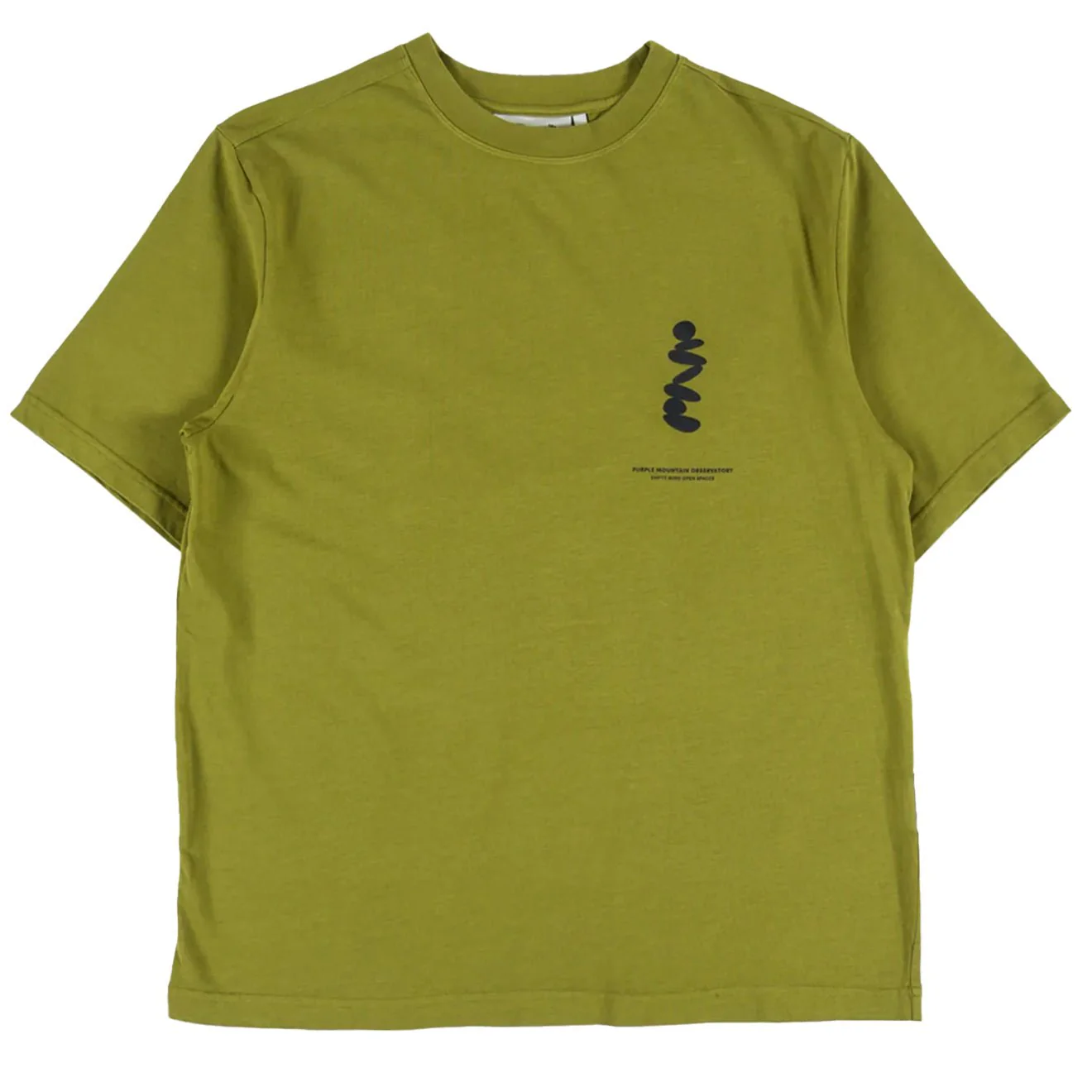 Purple Mountain Observatory Boulders S/S Tee Olive